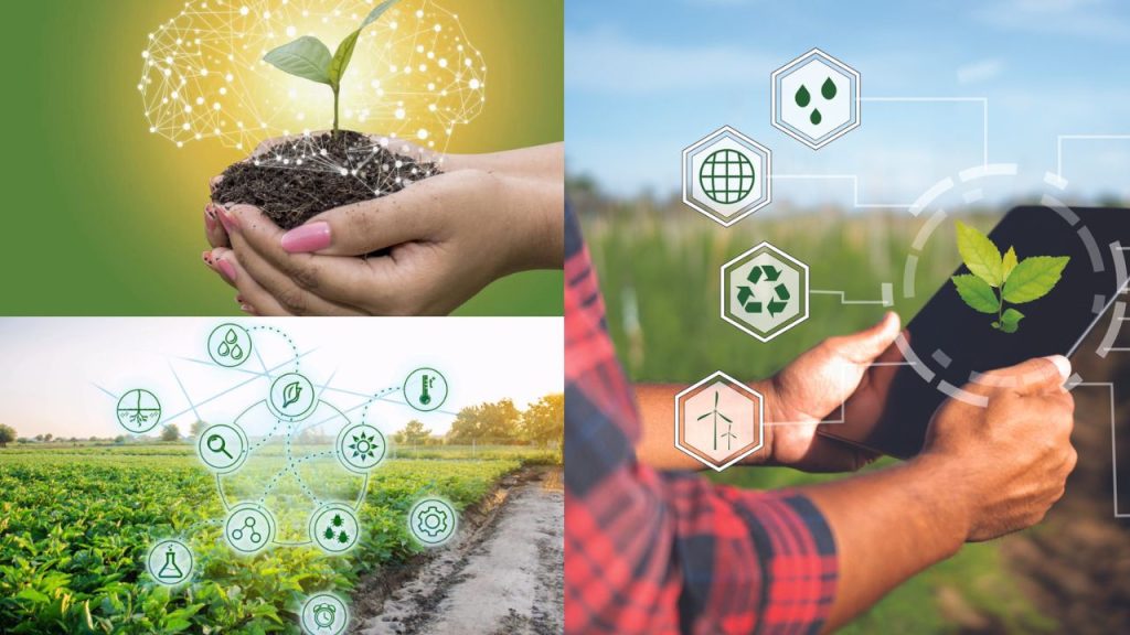 Inovação No Agronegócio