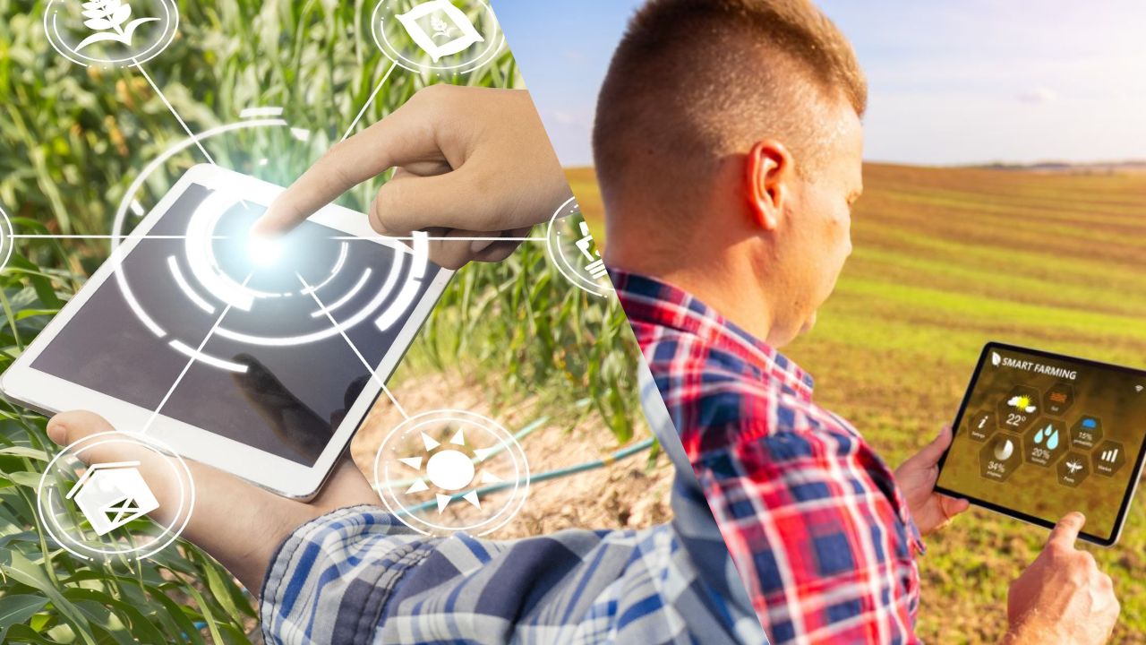 Marketing Digital Na Roça